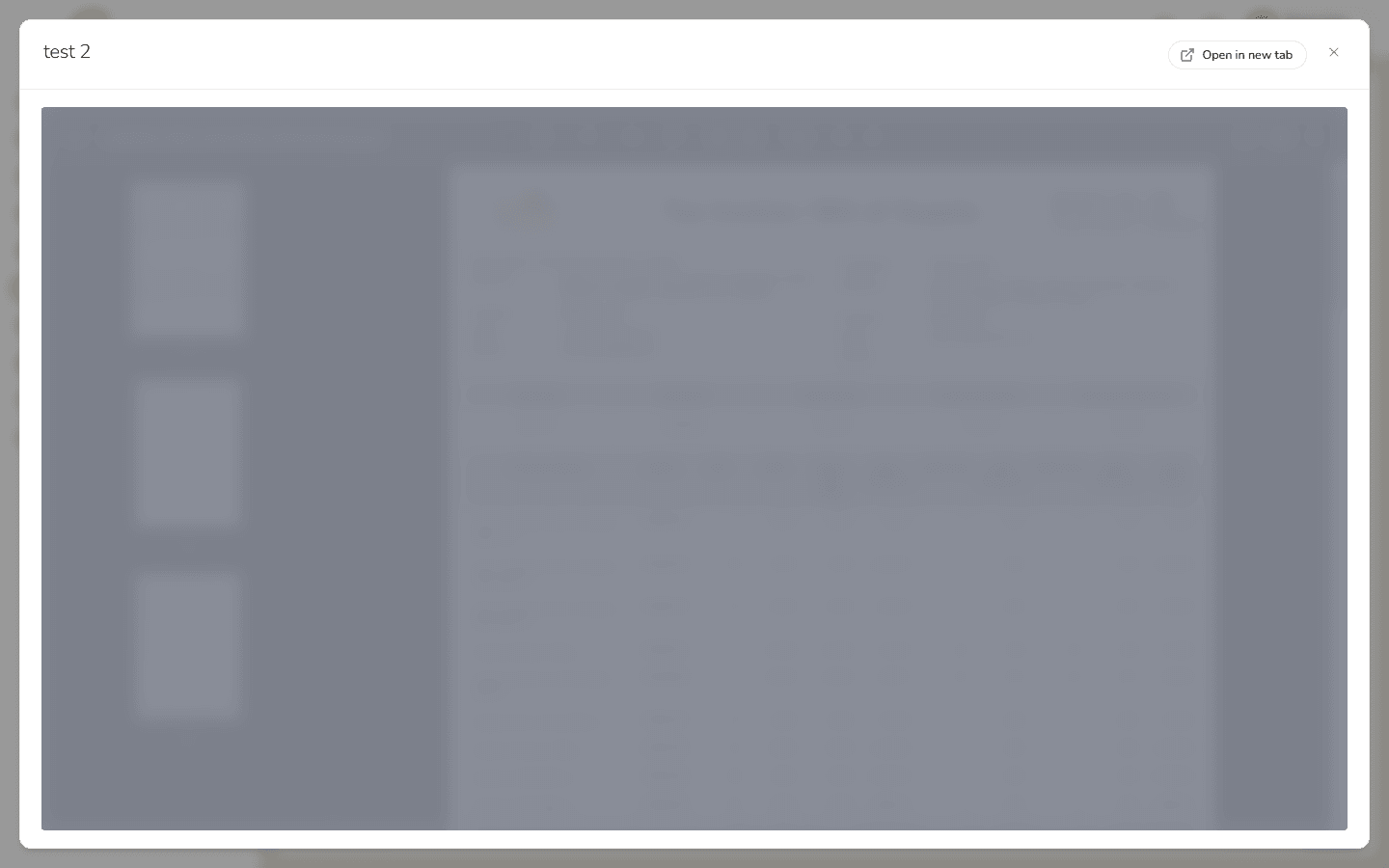 The document viewer